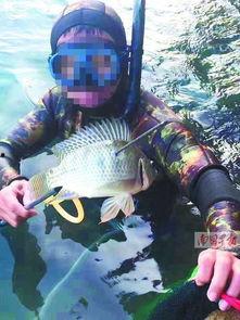 鱼爆料的视频大全最新版,揭秘娱乐圈幕后真相